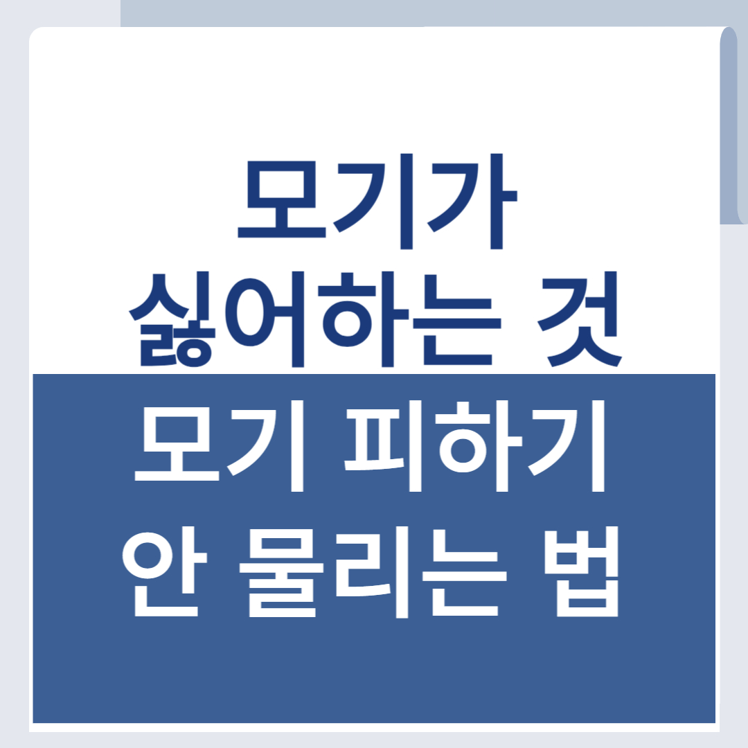 제목을 입력해주세요 001 54
