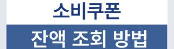 민생회복 소비쿠폰 민생지원금 잔액 조회 방법
