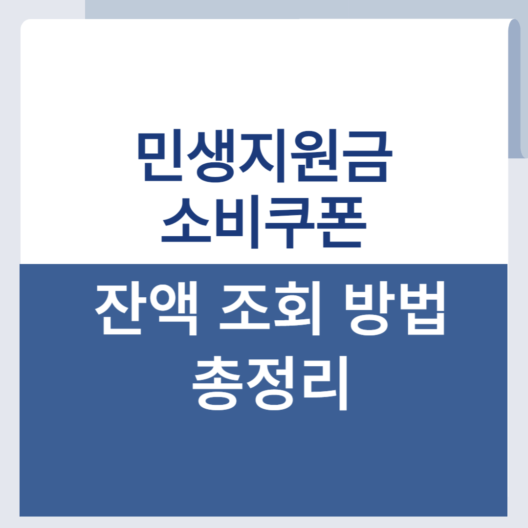 민생회복 소비쿠폰 민생지원금 잔액 조회 방법