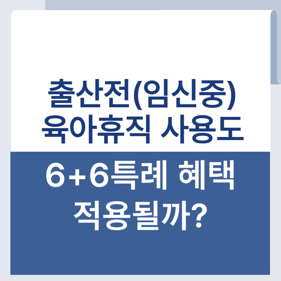 출산전 육아휴직 6+6 임신중 육휴 특례 적용 가능
