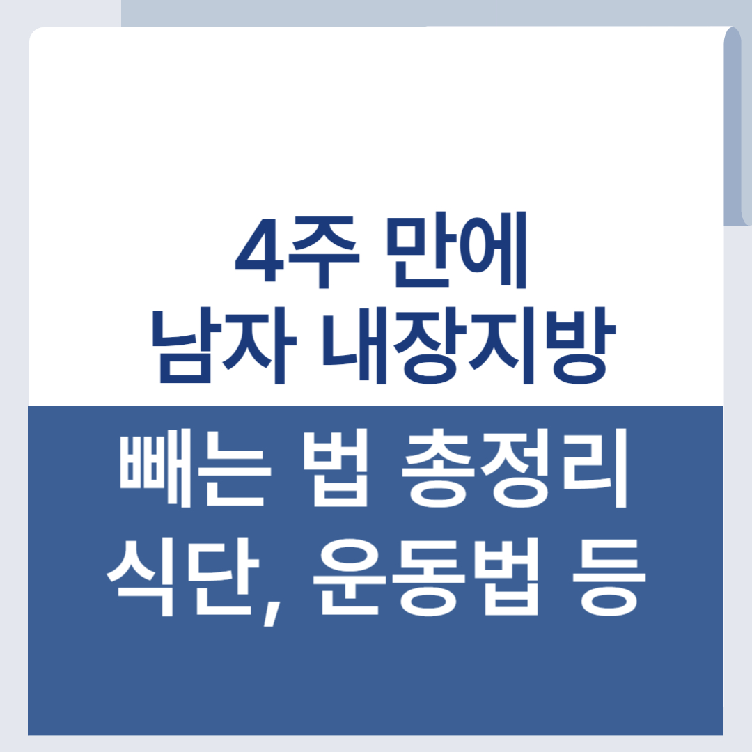 남자 내장지방 빼는 법 식단 운동 다이어트 뱃살